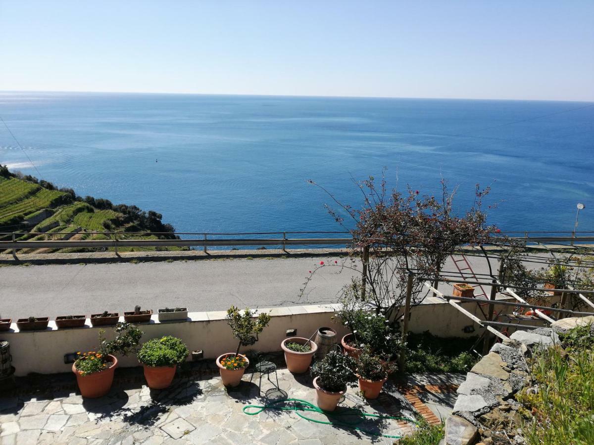 Bed and Breakfast La Serra Sul Mare Monterosso al Mare Exterior foto